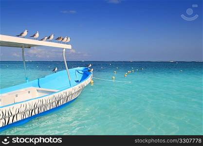blue boat seagulls Caribbean in turquoise sea