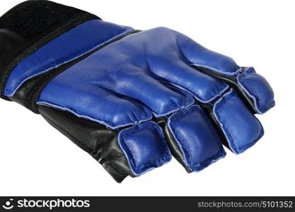 Blue boxing-gloves on the white background. (isolated)