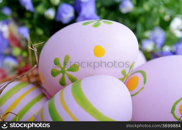 blue campanula flowers and easter eggs