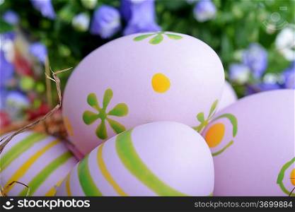 blue campanula flowers and easter eggs