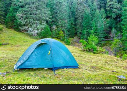 Blue camping tent in a green forest with pine trees