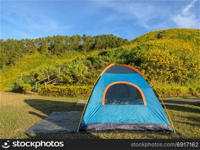 Blue camping tent with beautiful mountain nature scene of wild mexican sunflower field in Meahongson, Thailand