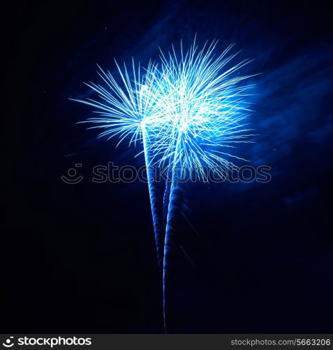 Blue colorful fireworks on the black sky background