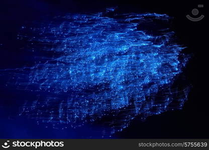 Blue colorful fireworks on the black sky background