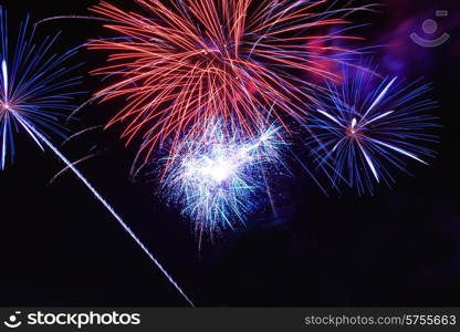 Blue colorful fireworks on the black sky background