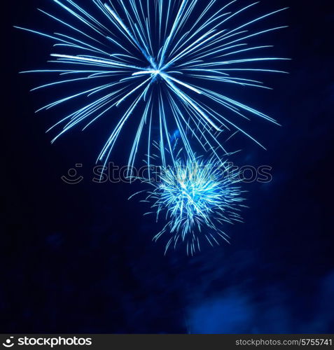 Blue colorful fireworks on the black sky background