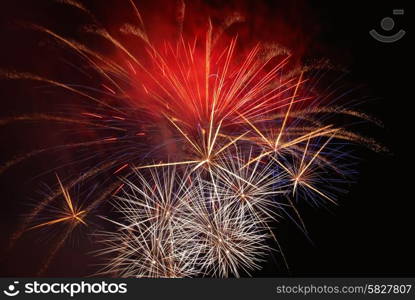 Blue colorful fireworks on the black sky background. Holiday celebration.