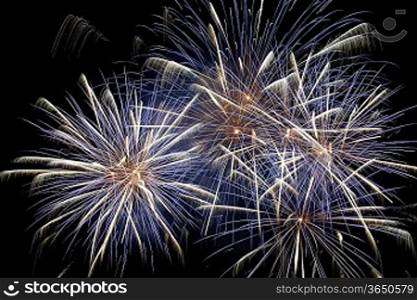 Blue colorful holiday fireworks on the black sky background.
