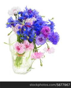 Blue cornflowers. Bunch of blue and pink cornflowers in vase isolated on white background