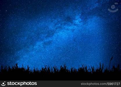 Blue dark night sky with many stars above field of grass. Milkyway cosmos background