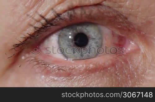 Blue eye of a middle-aged woman. Macro shot.