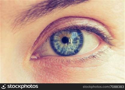 Blue eyed girl: Close up of beautiful white eyes