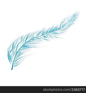 Blue feather - detailed illustration isolated on white
