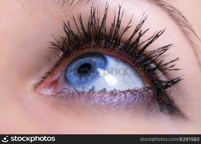 Blue female eye close up