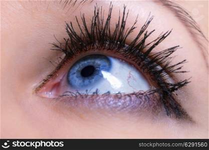 Blue female eye close up