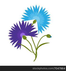 Blue flower cornflower isolated on white background. Cartoon centaurea cyanus illustration. Blue flower cornflower isolated on white background. Cartoon centaurea cyanus