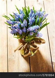 Blue flowers Muscari in flowerpot on wooden table
