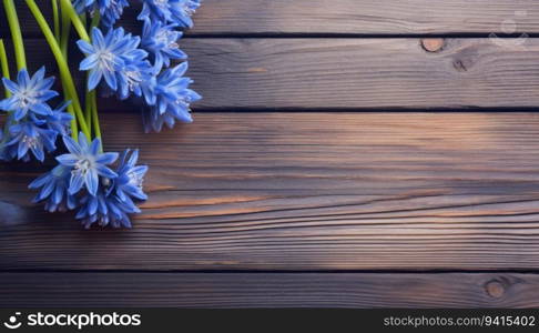 Blue flowers on a wooden background. Top view with copy space.