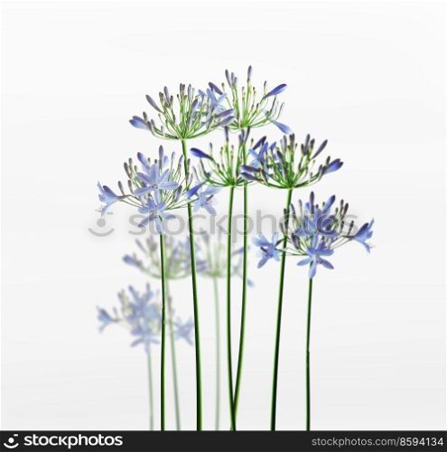 Blue flowers with green stems standing at white background. Natural floral background. Front view.