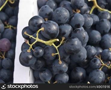 blue grapevine