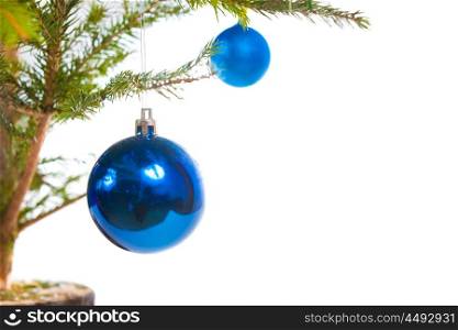 Blue holiday balls and christmas tree isolated on white background