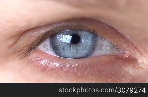 Blue human eye. Beauty macro closeup woman&acute;s eye