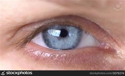 Blue human eye. Beauty macro closeup woman&acute;s eye