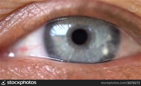 Blue human eye. Beauty macro closeup woman&acute;s eye blinking - video slow motion