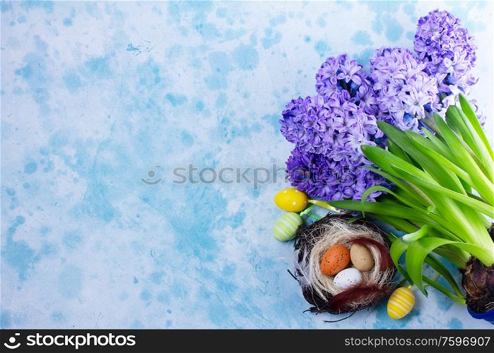 Blue hyacinth with easter eggs on blue background with copy space. Pink fresh tulips