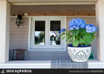 Blue hydrangea flower on the terrace, space for text
