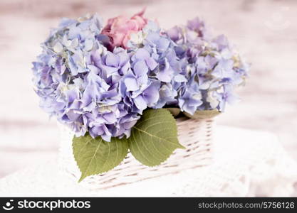 Blue hydrangea flowers in the white basket. Flower decor for the home