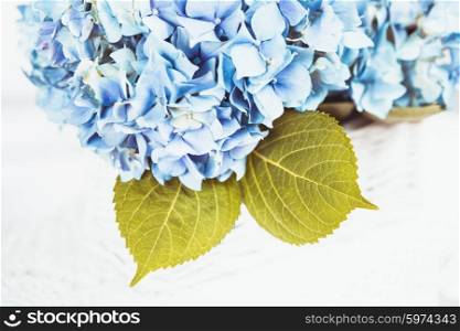 Blue hydrangea flowers in the white basket. Flower decor for the home. Hydrangea flowers