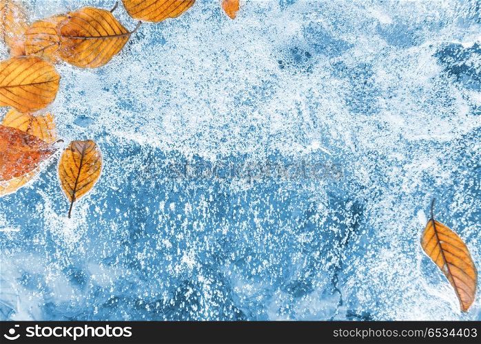 Blue ice with frozen dry leaves. Ice with frozen dry leaves for background