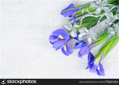 blue iris flowers on white wooden background with copy space. Fresh iris flowers