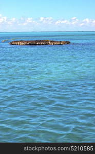 blue isla contoy in mexico froath and blue foam the sea drop sunny day wave