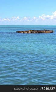 blue isla contoy in mexico froath and blue foam the sea drop sunny day wave