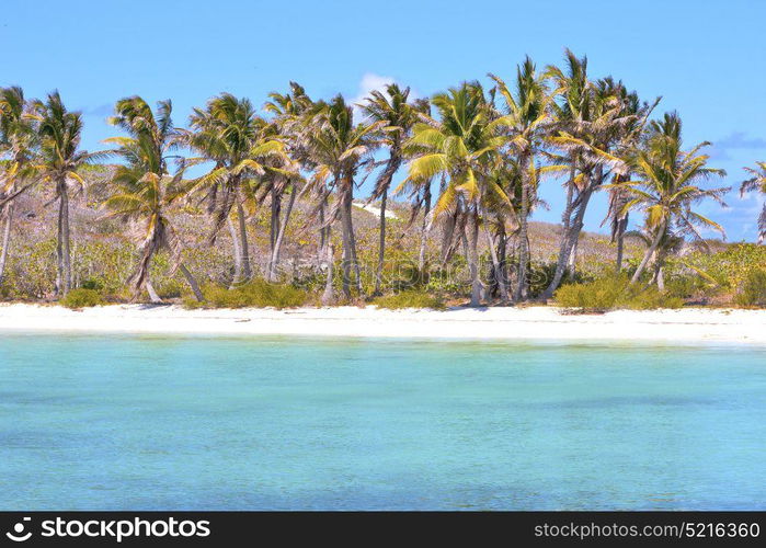 blue isla contoy in mexico froath and blue foam the sea drop sunny day wave