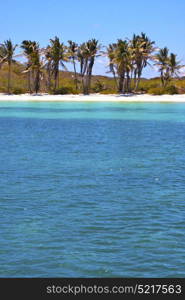 blue isla contoy in mexico froath and blue foam the sea drop sunny day wave