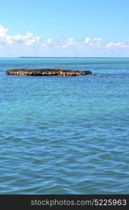 blue isla contoy in mexico froath and blue foam the sea drop sunny day wave