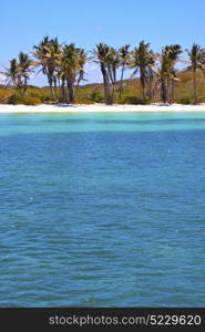 blue isla contoy in mexico froath and blue foam the sea drop sunny day wave