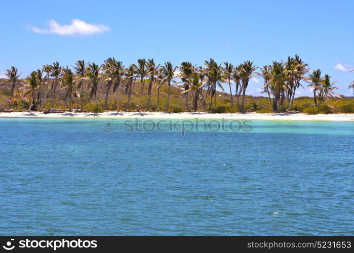 blue isla contoy in mexico froath and blue foam the sea drop sunny day wave