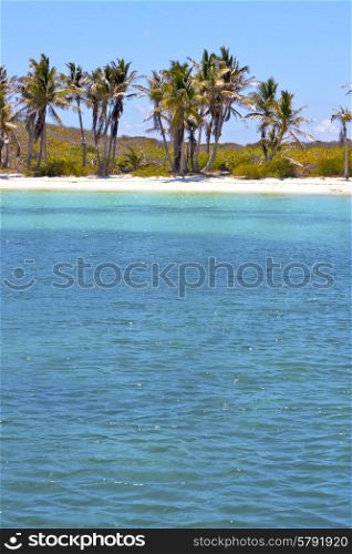 blue isla contoy in mexico froath and blue foam the sea drop sunny day wave