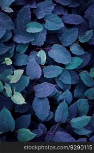 blue japanese knotweed plant leaves in winter season, blue background
