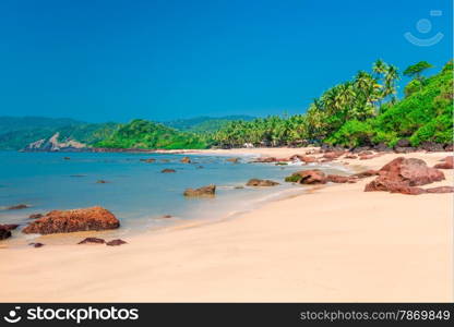 Blue Lagoon on a tropical island