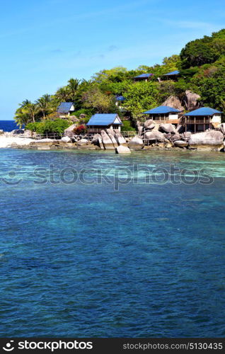 blue lagoon stone in thailand kho tao bay abstract of a water south china sea