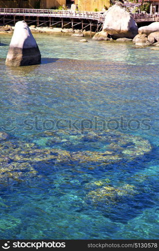 blue lagoon stone in thailand kho tao bay abstract of a water south china sea