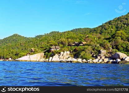 blue lagoon stone in thailand kho tao bay abstract of a water south china sea