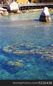 blue lagoon stone in thailand kho tao bay abstract of a water south china sea