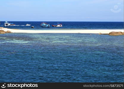 blue lagoon stone in thailand kho tao bay abstract of a water south china sea