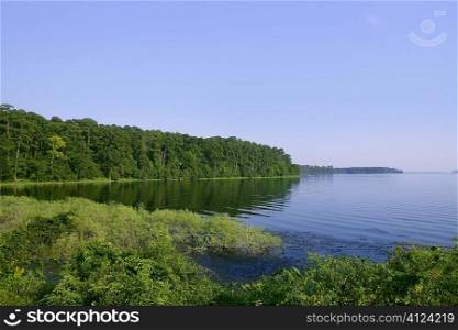 Blue lake landscape in a green Texas forest view, nature